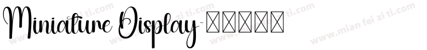 Miniature Display字体转换